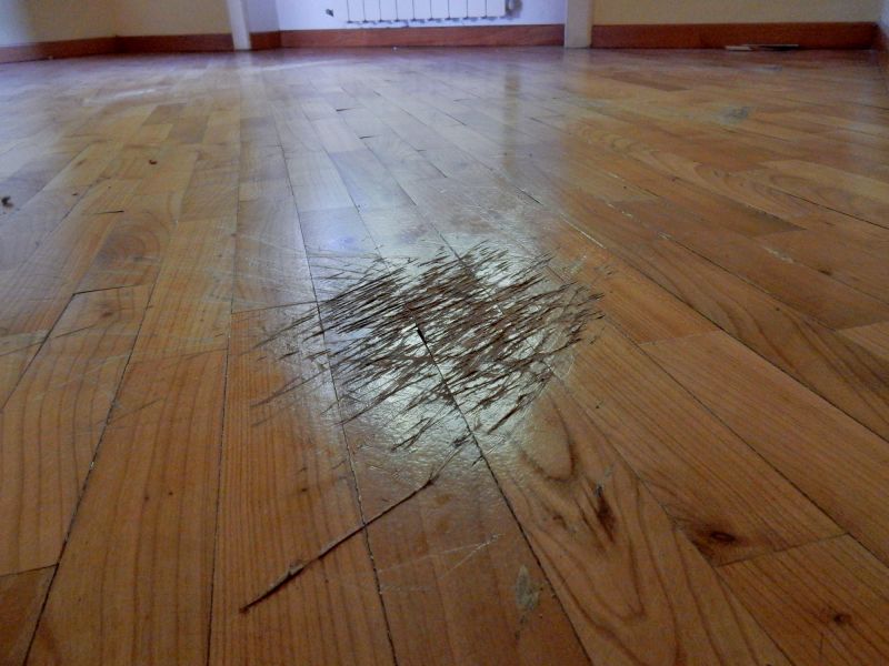 Hardwood Floor Repair
