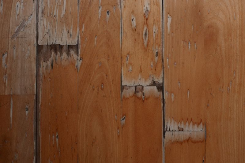 Damaged Hardwood Can Be a Safety Hazard!